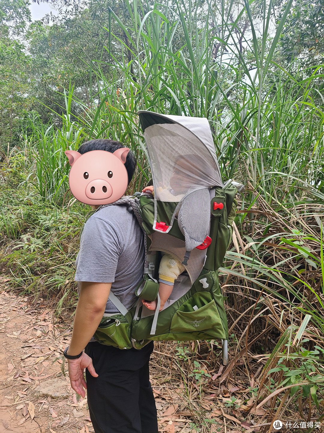 奶爸带娃出行神器-Osprey poco背架