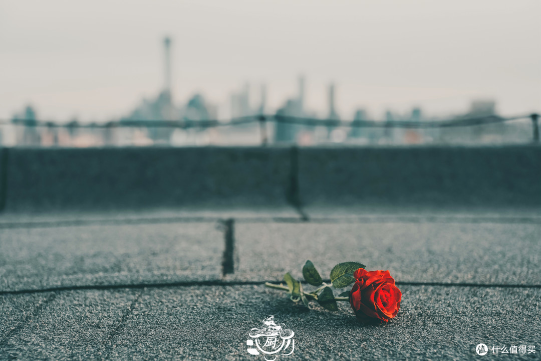 永诺YN50mm F1.8S DF DSM索尼E卡口全画幅自动对焦镜头