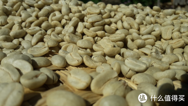 咖啡知识学习分享|闻名世界的8款咖啡豆