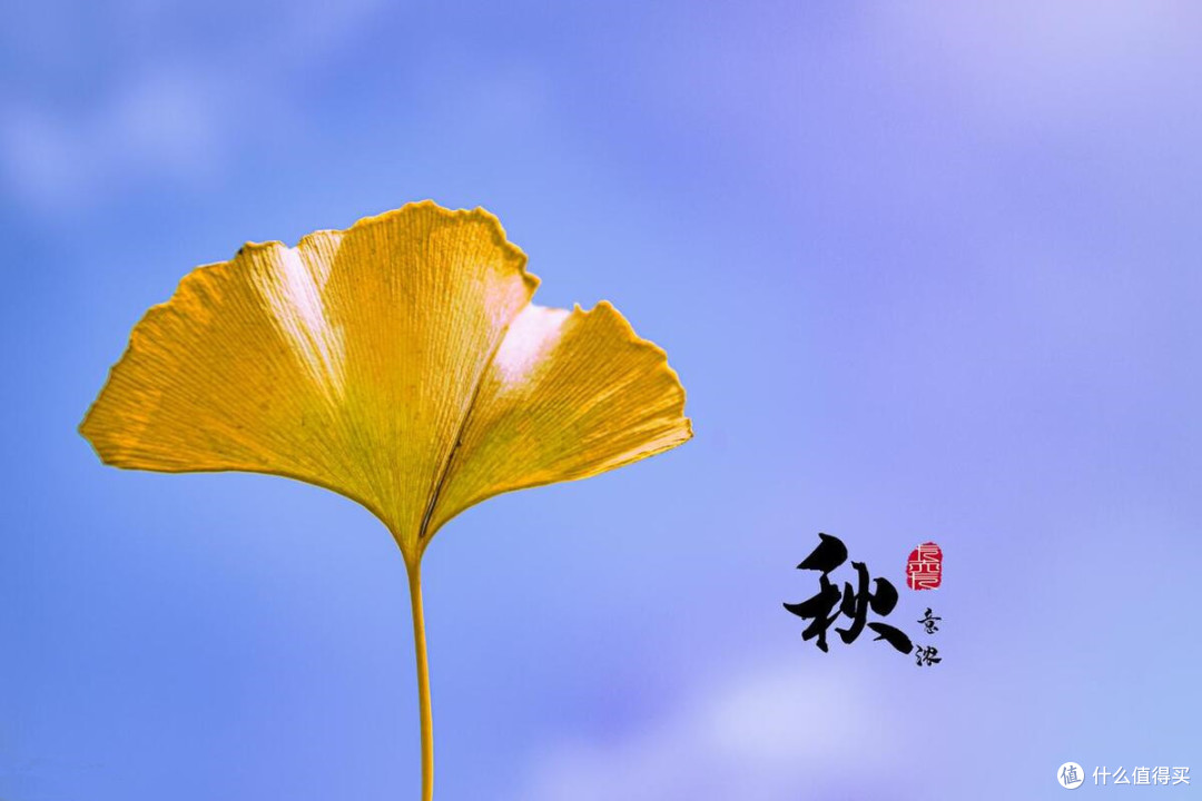进入秋天,少吃西瓜和黄瓜,多吃6种秋果,顺应时节,舒坦入秋