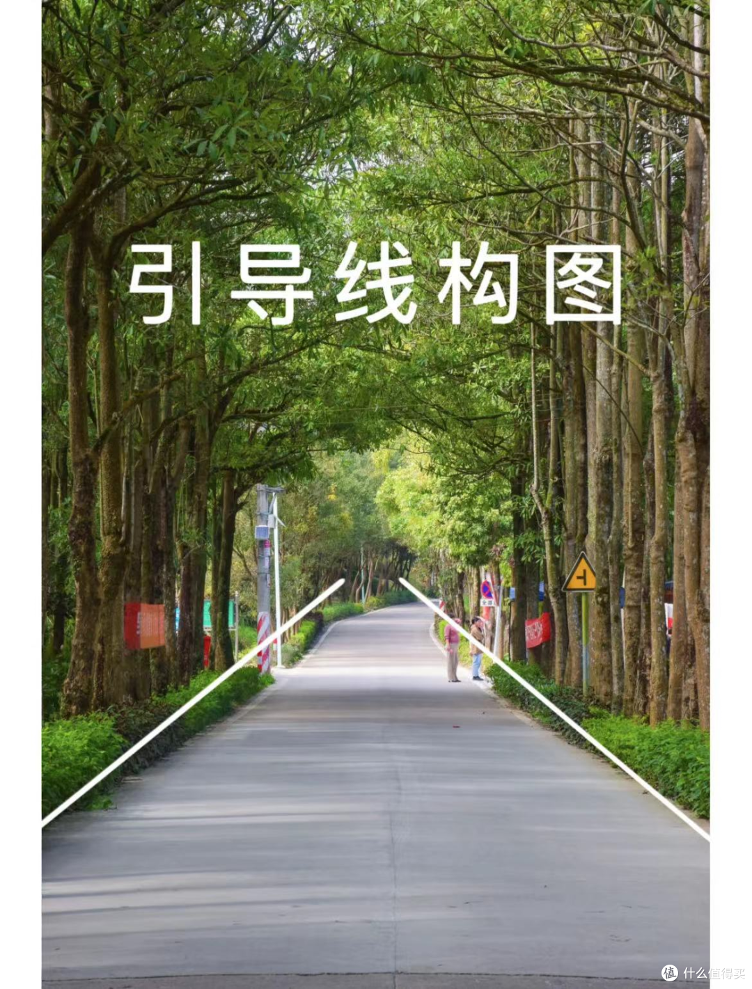 有哪些构图强大的摄影作品，普通人该如何欣赏和学习？