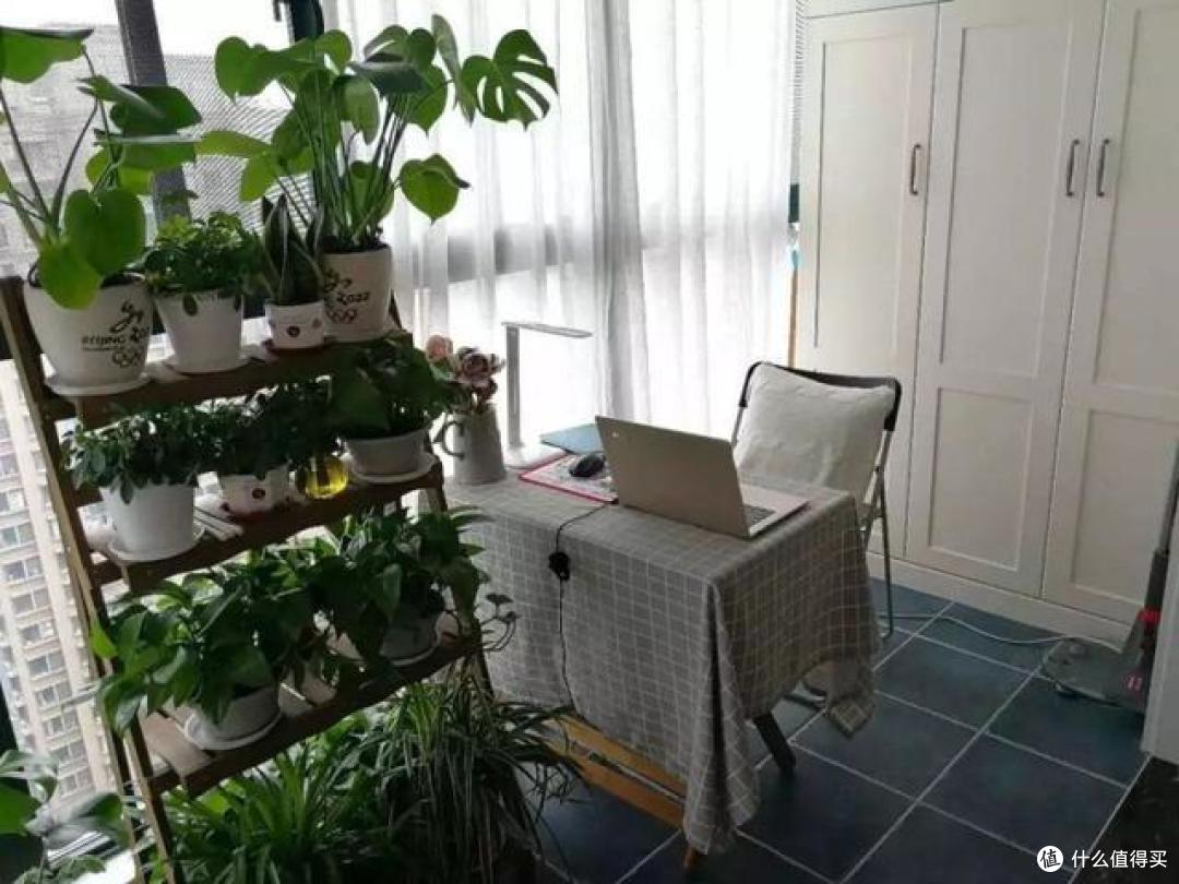 老祖宗留下的16个养花口诀,记住了学会了,何愁花草长不旺!