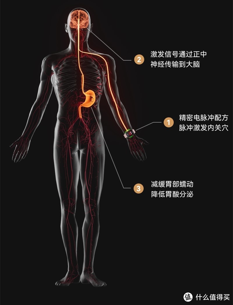 不可思议！戴上手表能减肥？——dido PLUSE-T P30轻体健康智能手表测评