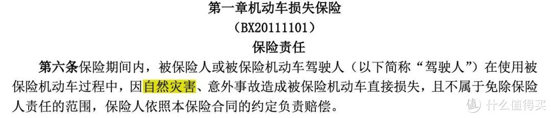 台风+暴雨下,保险怎么用?