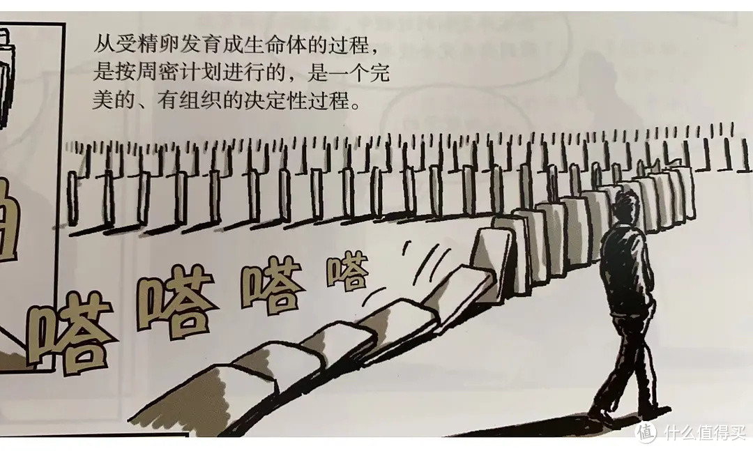 漫画基因:探索科学与历史的奇妙之旅
