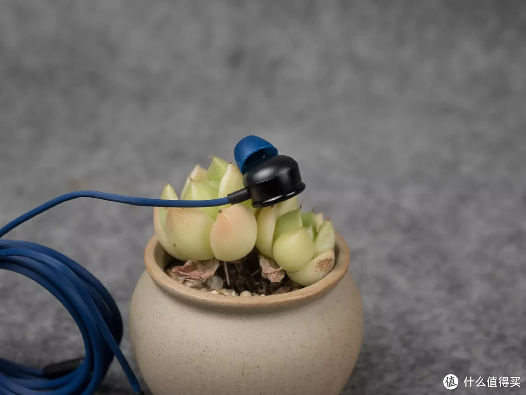 音质出众,颜值超炫酷的潮玩:PANDAER 有线耳机上手体验