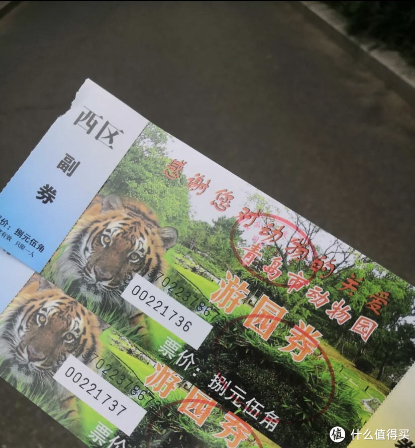 青岛动物园8块5看大熊猫!快带孩子来!