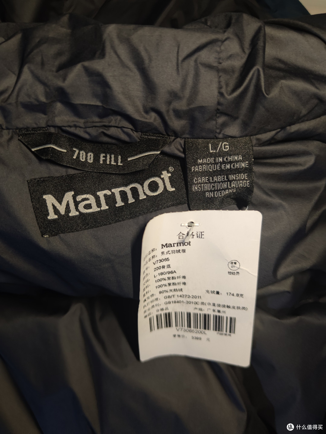 土拨鼠marmot73260/73065 真假难辨的美鼠