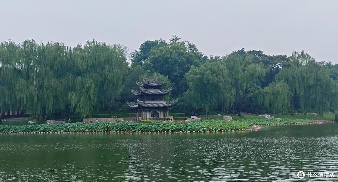 夏日荷花情之陶然亭公园游玩随拍记录