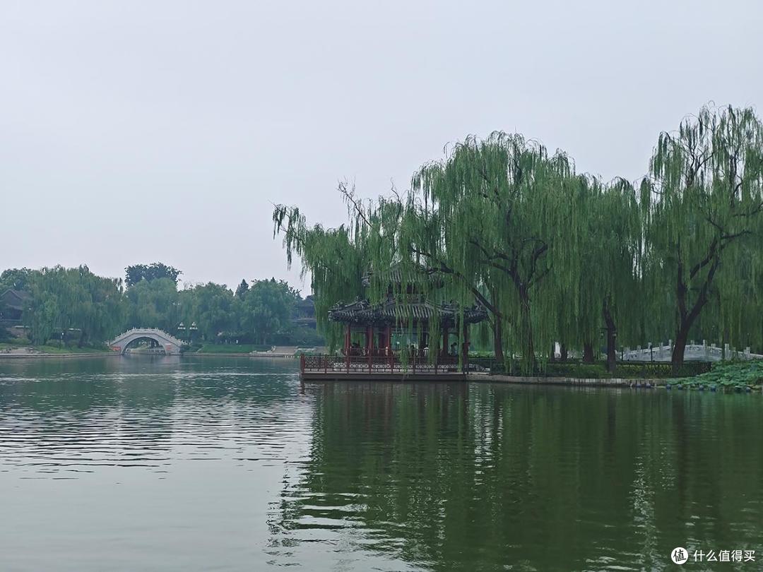 夏日荷花情之陶然亭公园游玩随拍记录