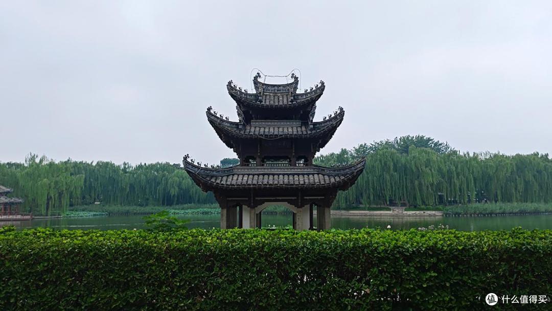 夏日荷花情之陶然亭公园游玩随拍记录