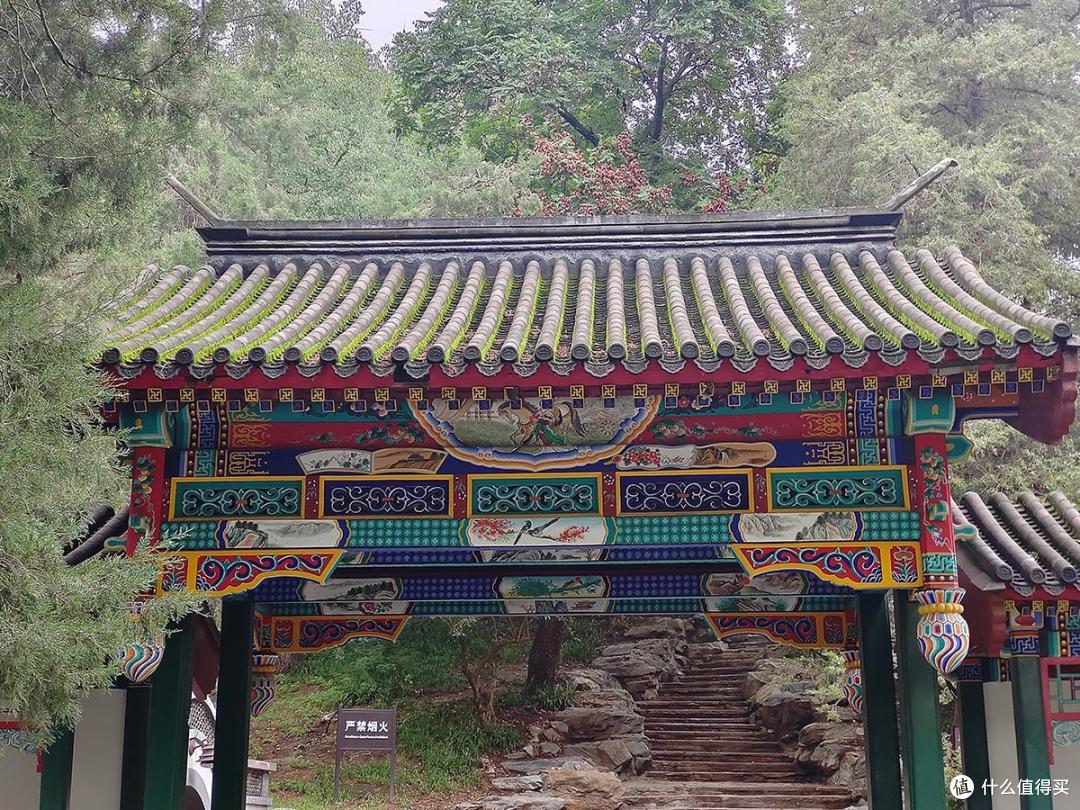 夏日荷花情之陶然亭公园游玩随拍记录