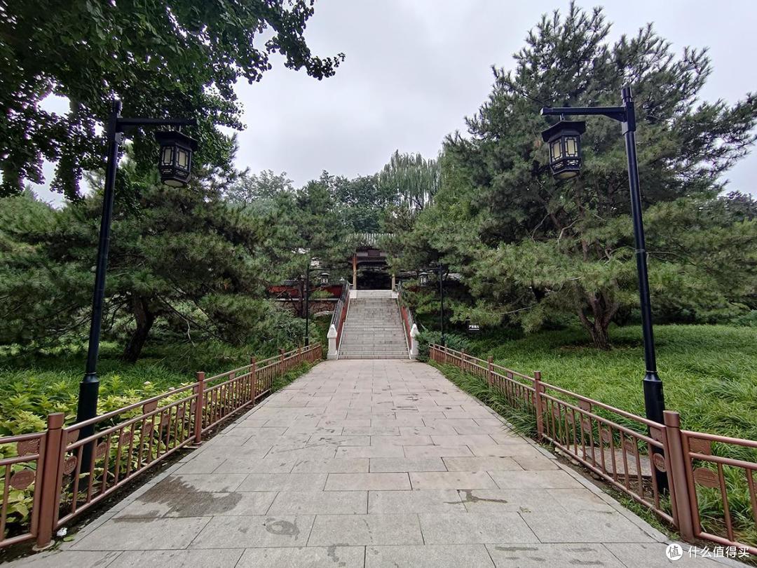 夏日荷花情之陶然亭公园游玩随拍记录
