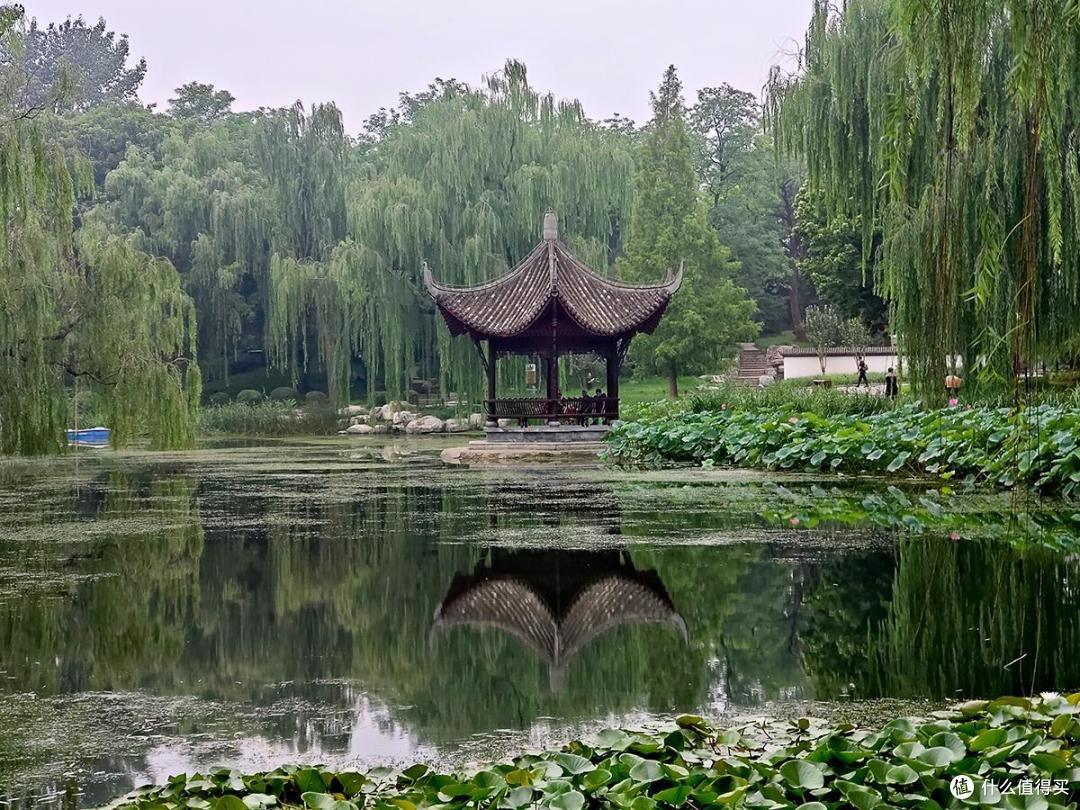夏日荷花情之陶然亭公园游玩随拍记录