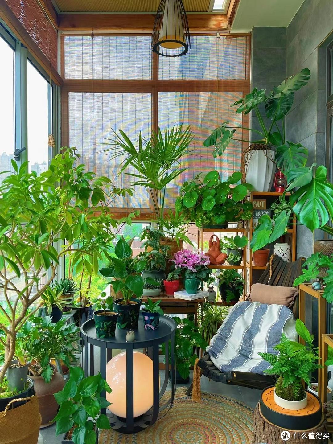 9㎡阳台，打造“花园洋房”，阳台虽小，也能种出一片“小森林”
