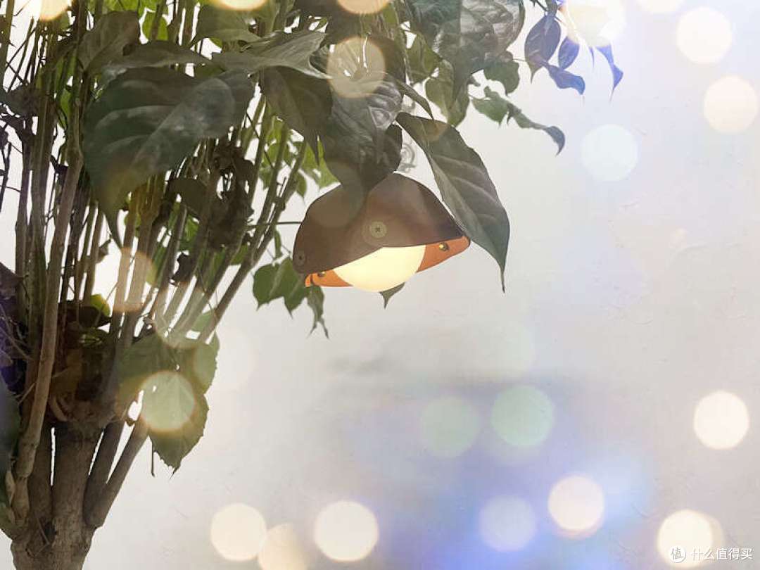 拿出纳拓这款松果露营小灯，都在找我要链接