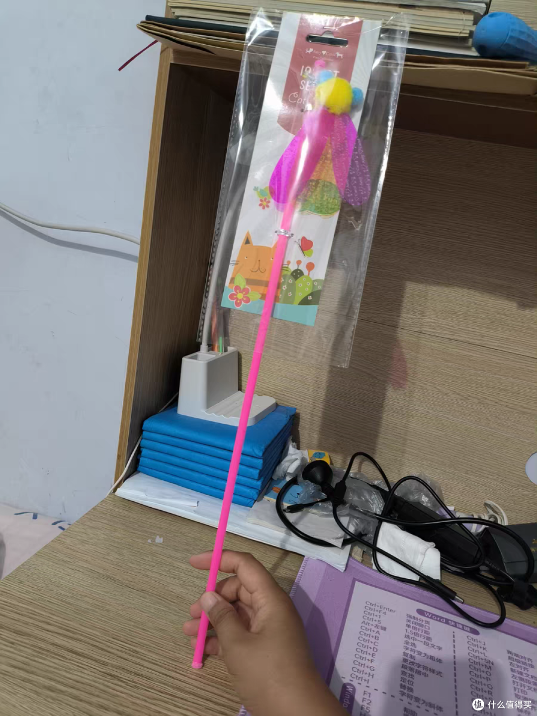 给猫咪买了一个逗猫棒，看它的样子很喜欢