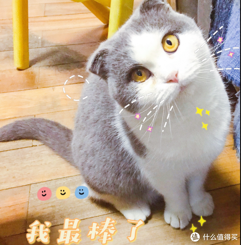 纽翠斯猫粮怎么样？纽翠斯猫粮哪个口味好？