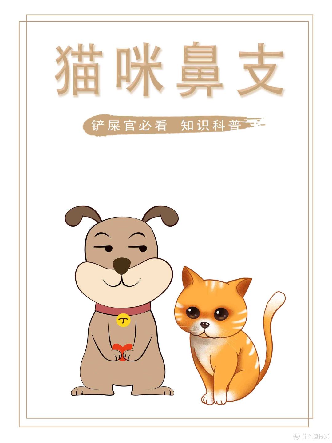 干货!铲屎官必看猫咪鼻支怎么应对