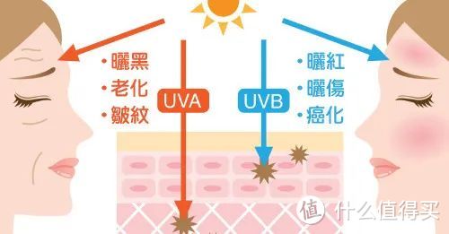 秘籍 | 听说你们不爱用防晒是因为....