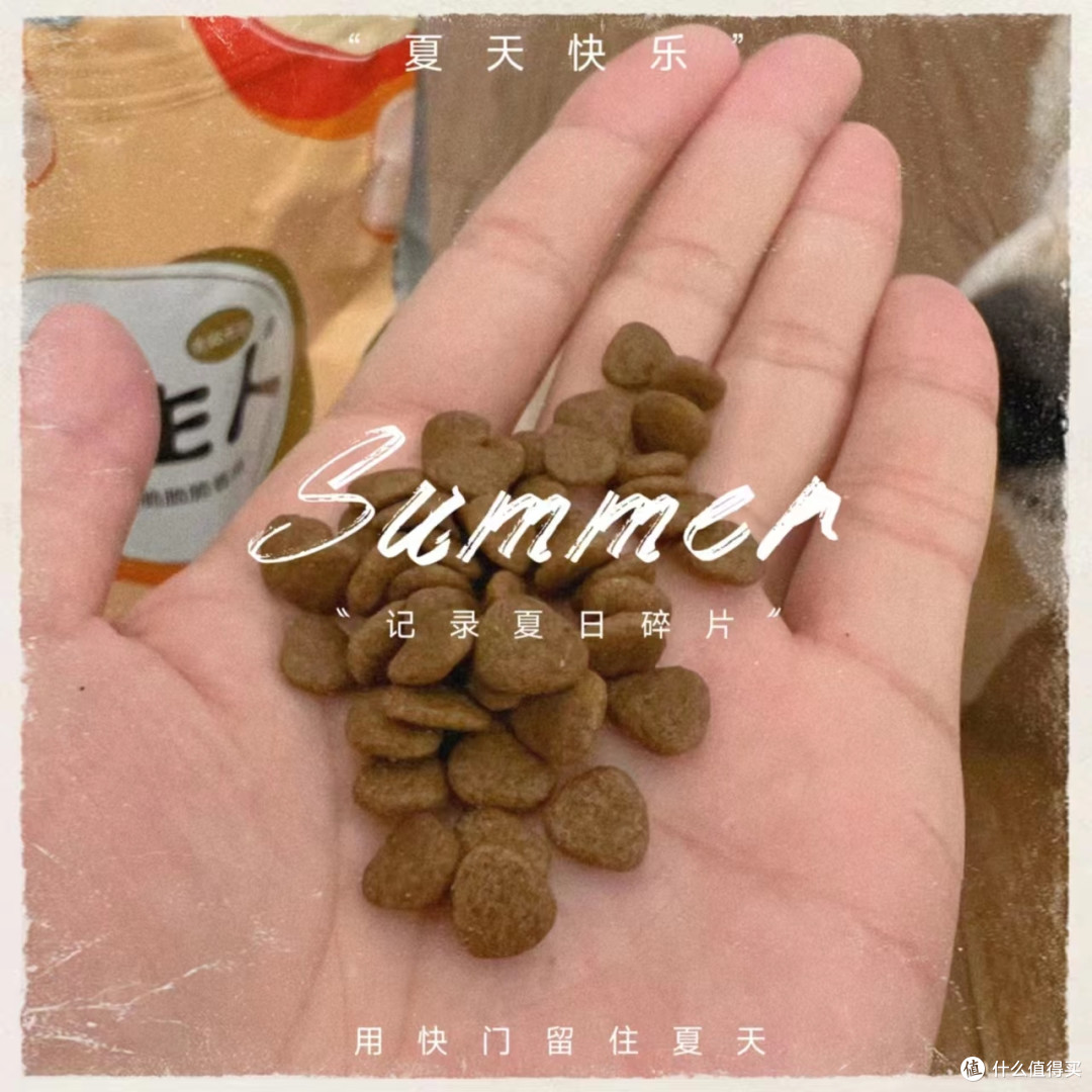 有了这款狗粮，狗狗再也不挑食啦！