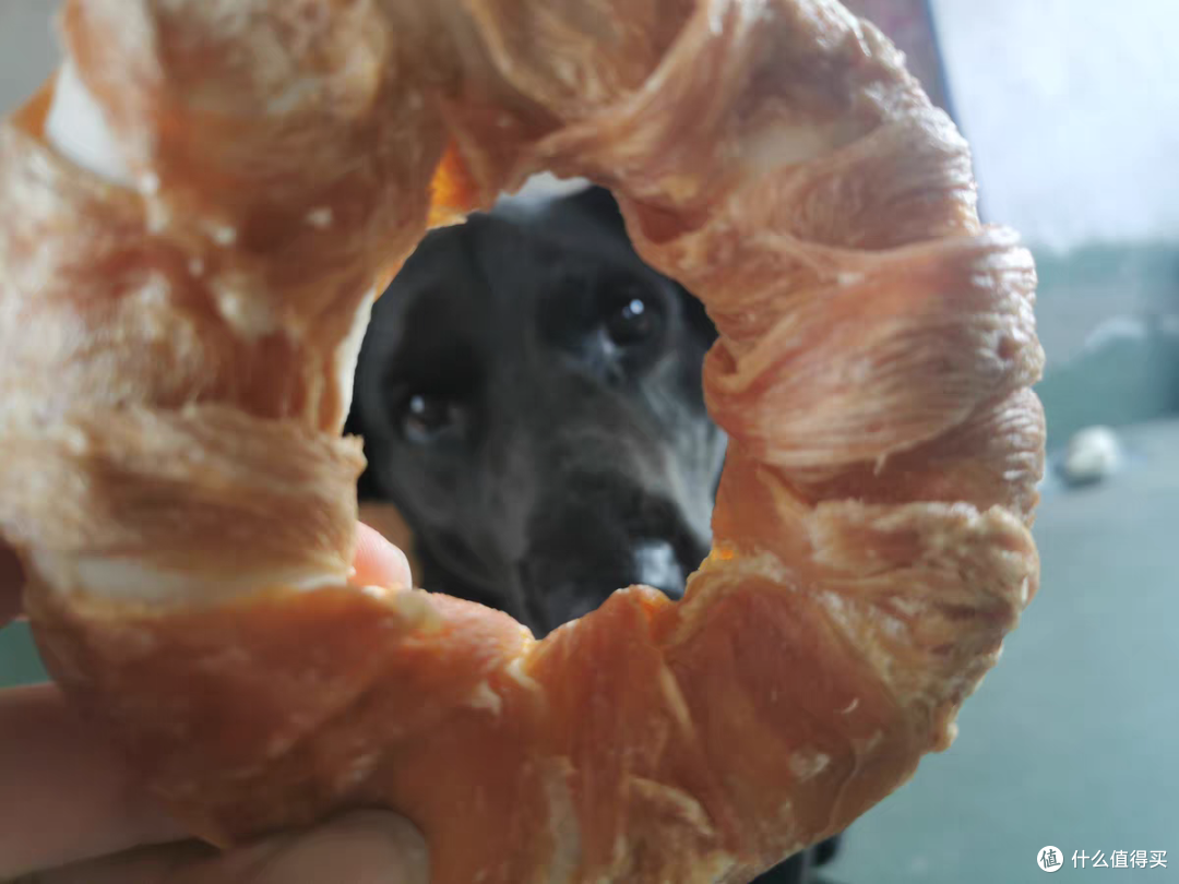 给狗子买的鸡肉牛皮圈狗子开心极了