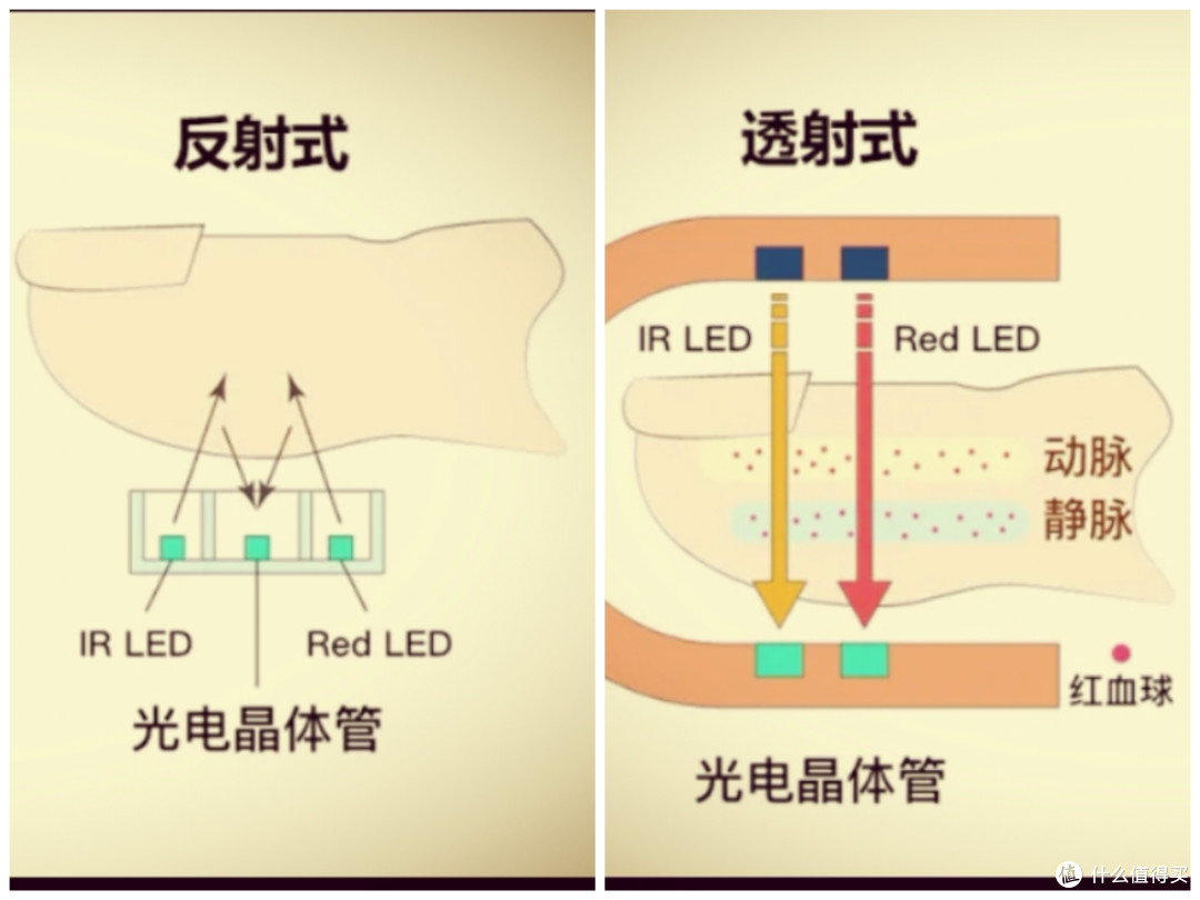 怎么判断睡眠质量?乐普指环深度使用反馈!