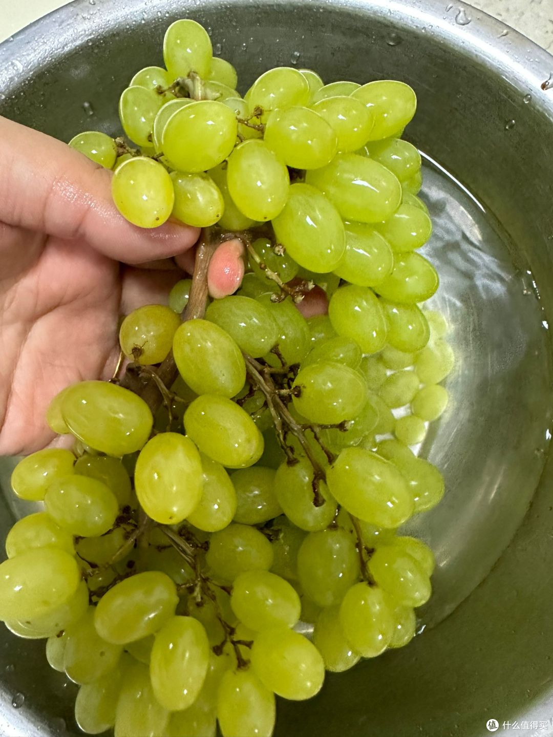 小蜜蜂葡萄超级甜,让你回味无穷!