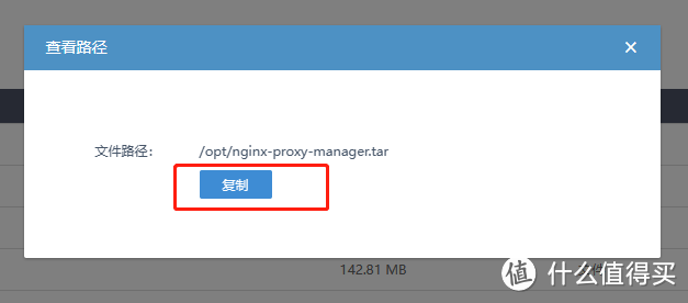 别人能玩儿的，我爱快docker也要玩：nginx-proxy-manager探路