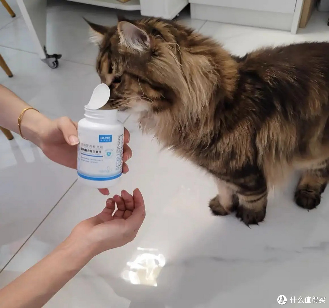 唯特医生猫咪复合维生素，猫咪掉毛不用怕