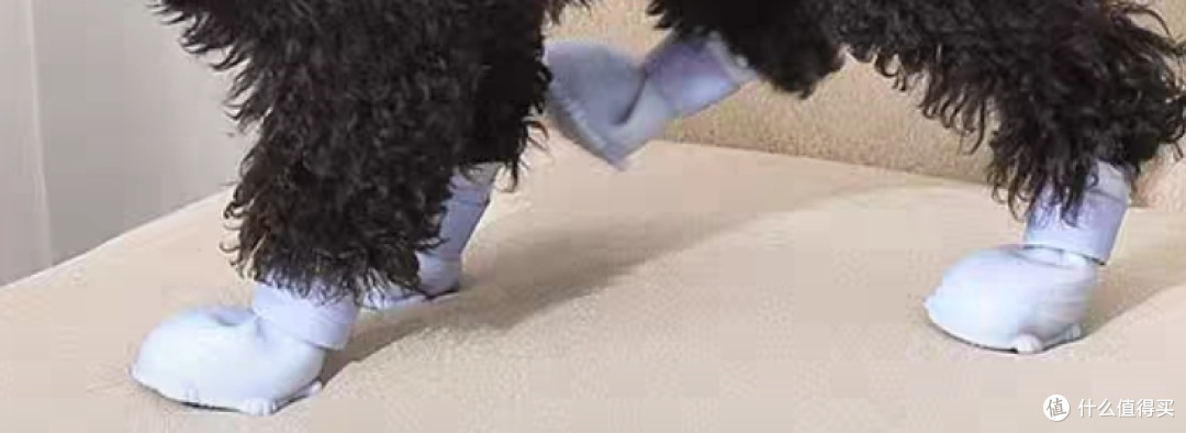 猫咪时尚必备！这款猫衣服让你的宠物成为街头焦点！
