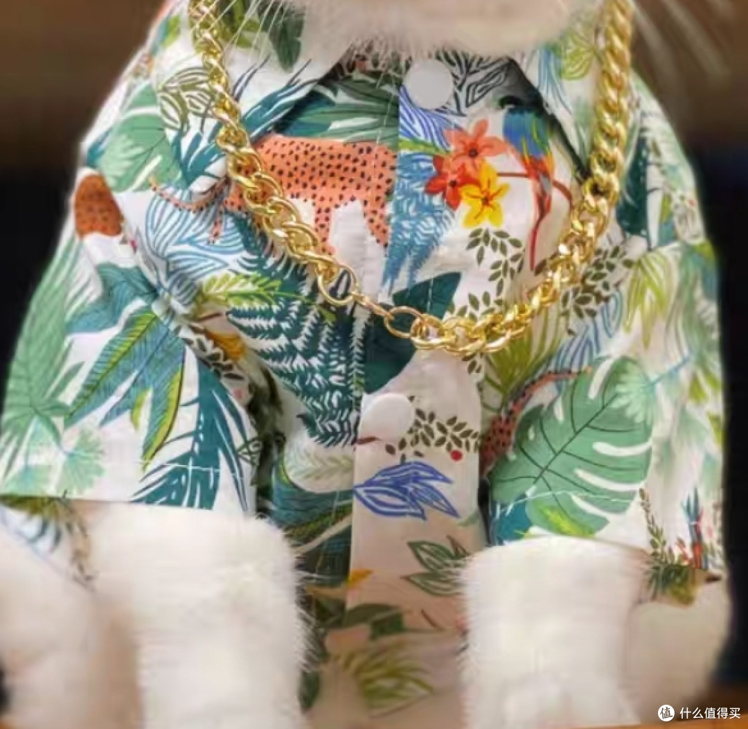 猫咪时尚必备！这款猫衣服让你的宠物成为街头焦点！
