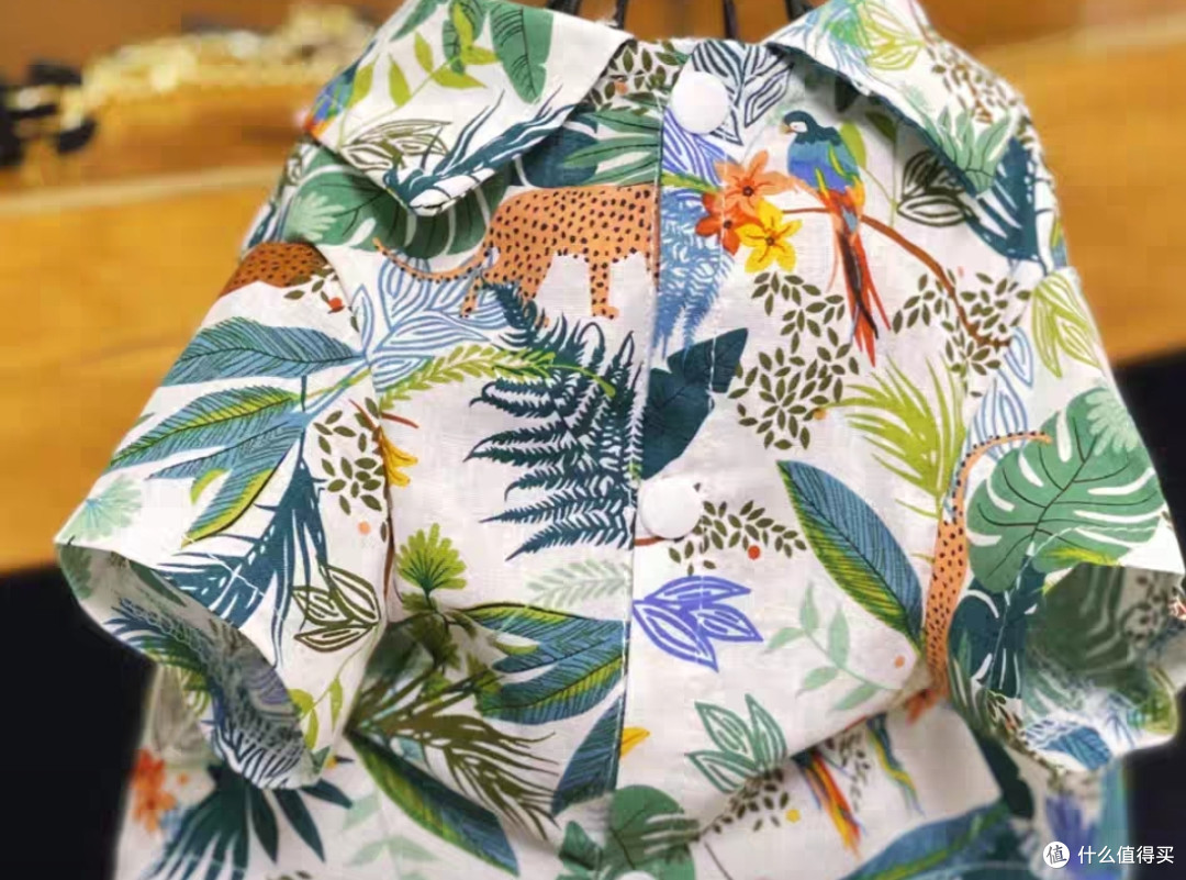 猫咪时尚必备！这款猫衣服让你的宠物成为街头焦点！