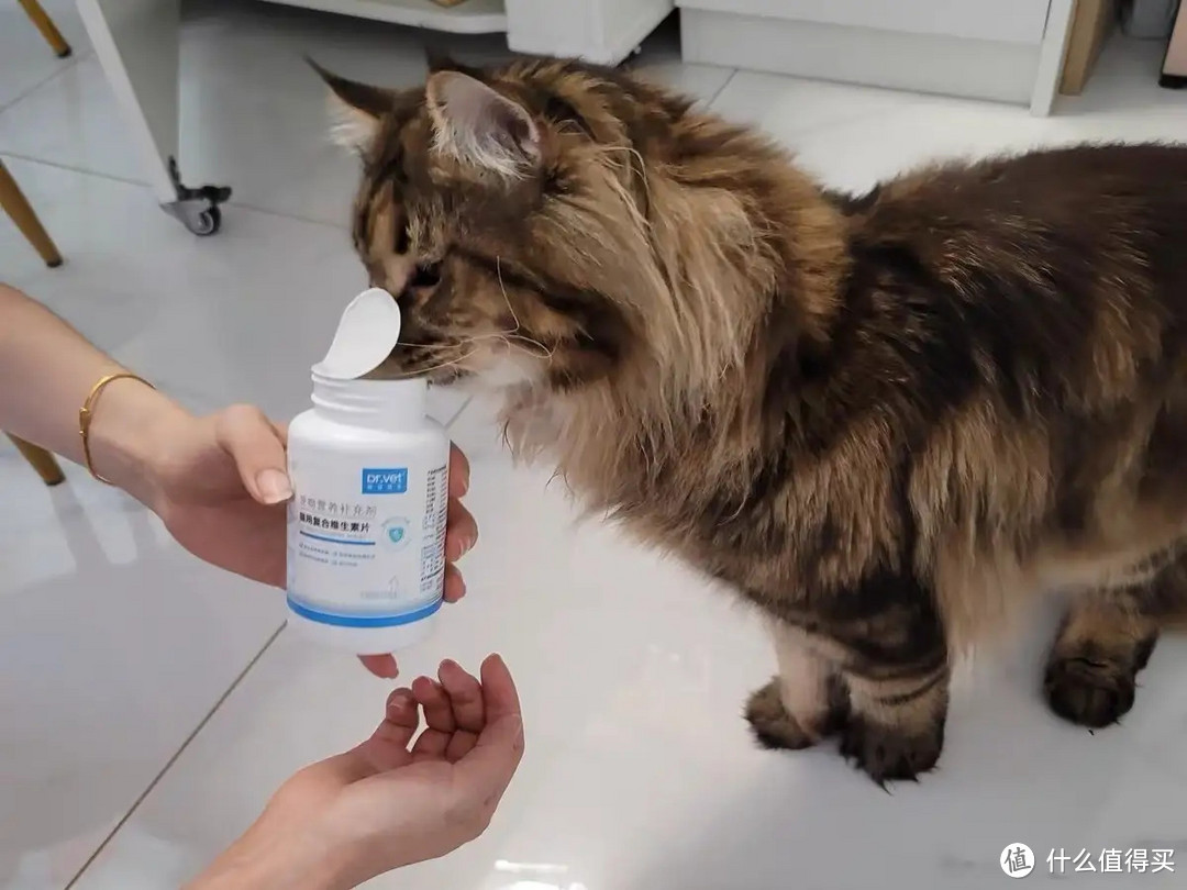 唯特医生猫咪复合维生素，改善猫咪身体素质