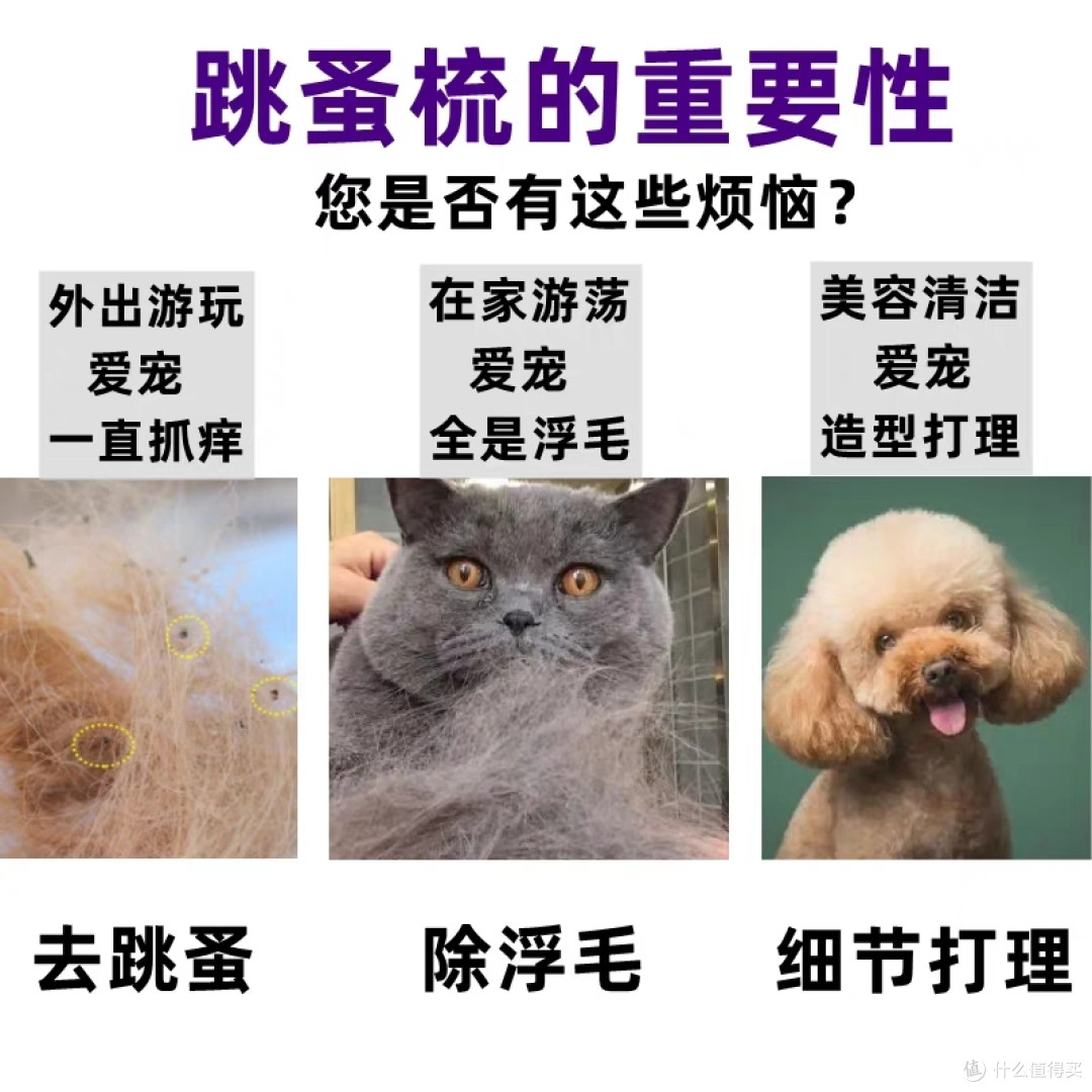 猫咪除蚤梳子,狗狗除跳蚤虱子!
