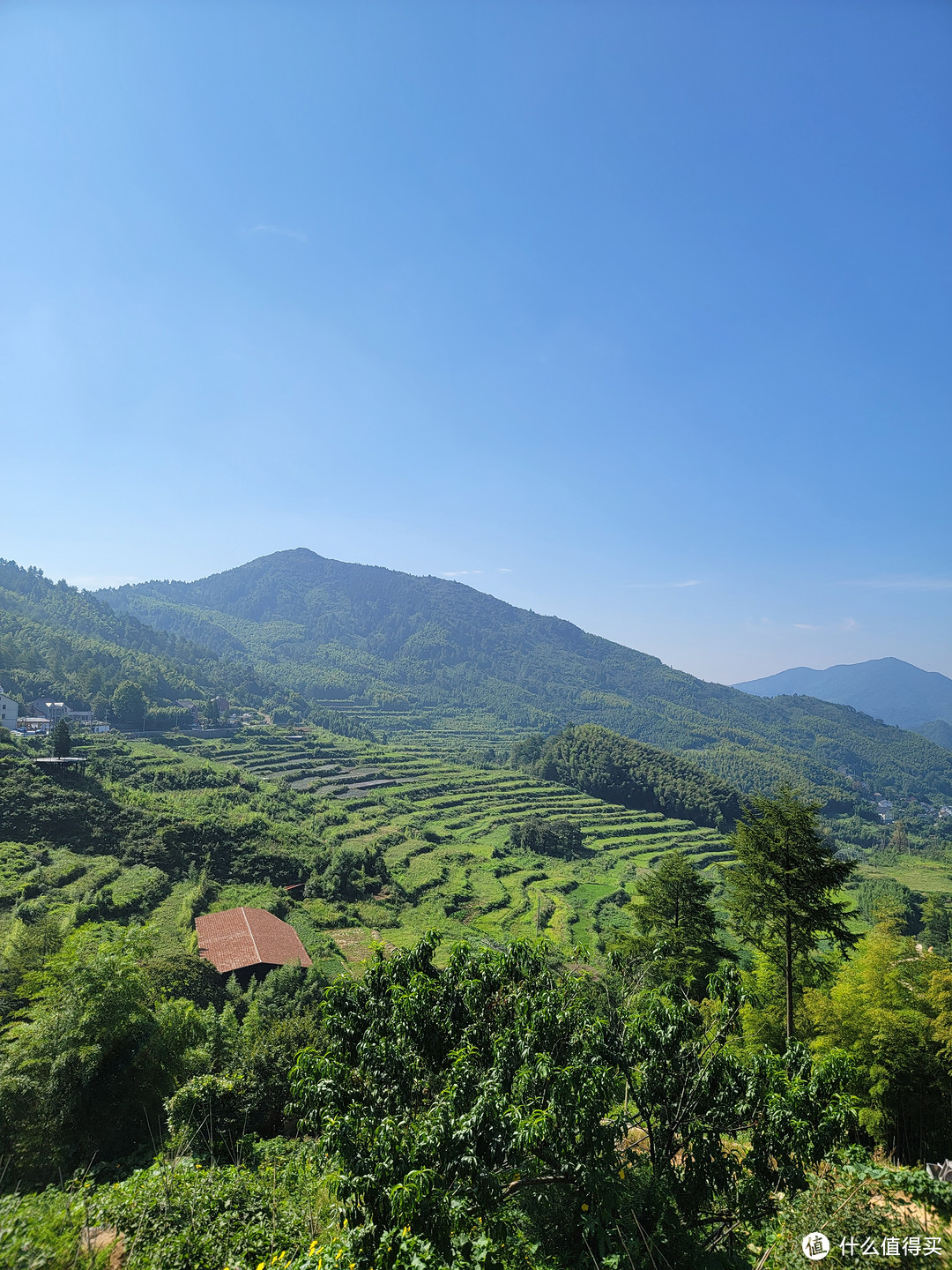 高山梯田，可惜有点废弃了