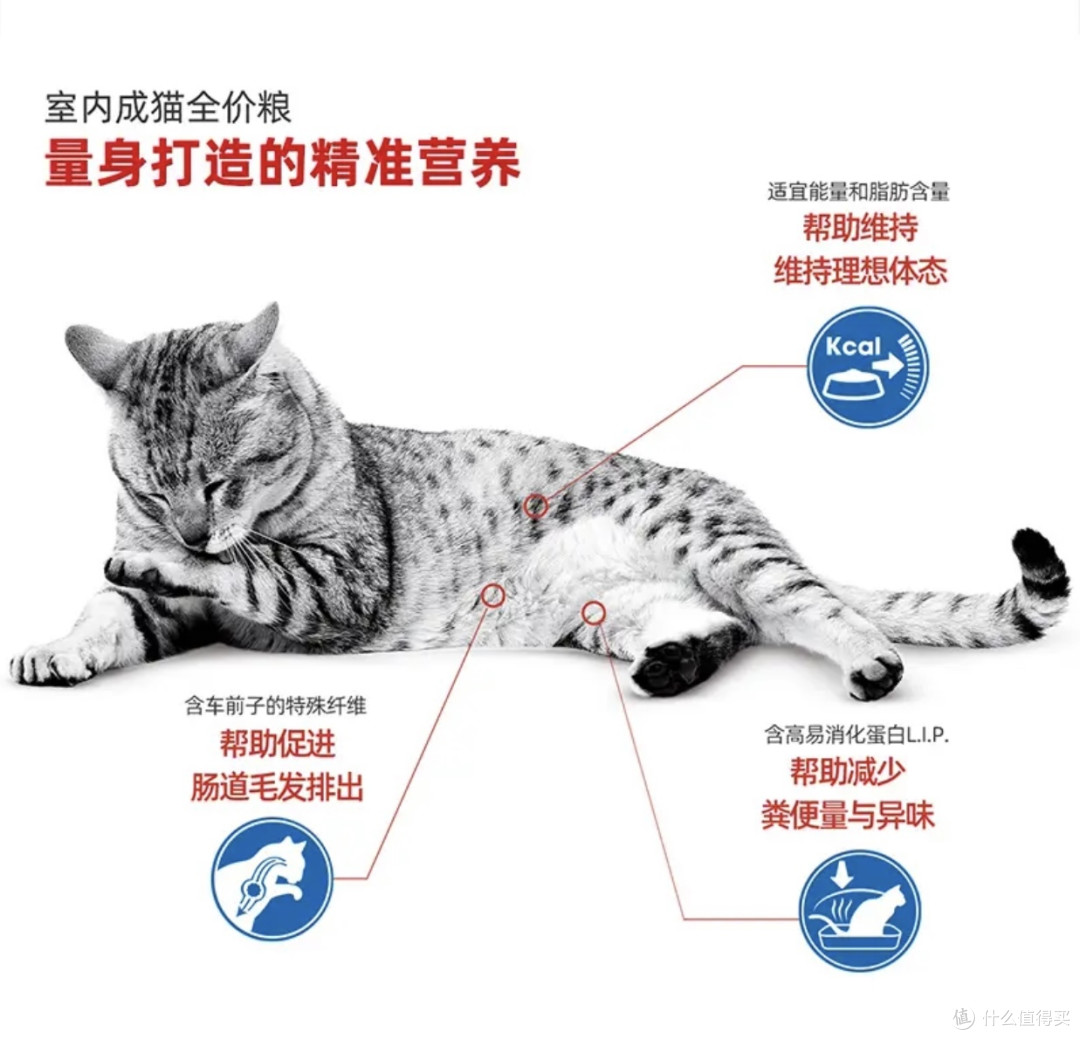 这是一份猫粮选购思路