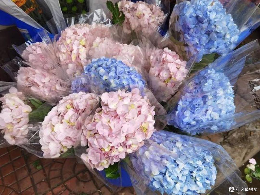 花市上听到最多的5句话,全是“忽悠”人的,多记一个就少上次当