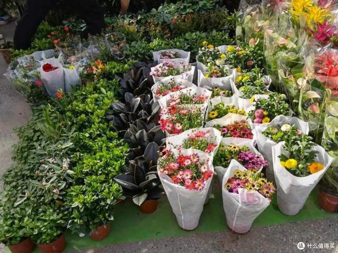 花市上听到最多的5句话,全是“忽悠”人的,多记一个就少上次当