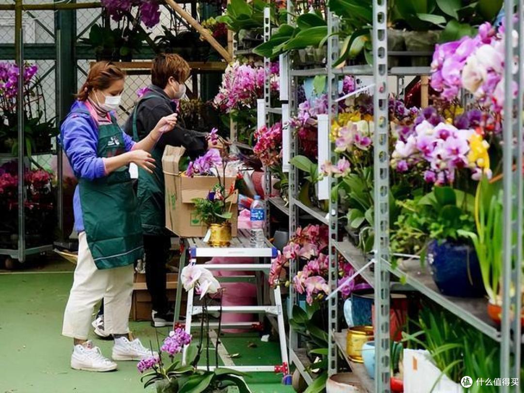 花市上听到最多的5句话,全是“忽悠”人的,多记一个就少上次当