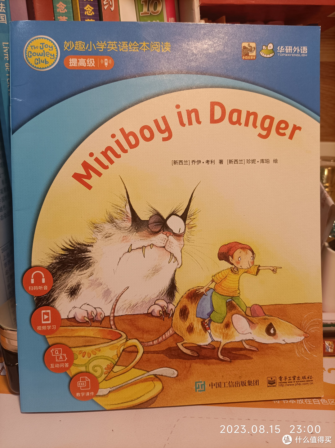 Miniboy in Danger