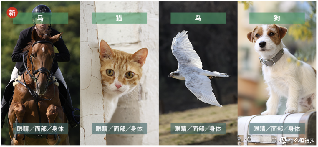专业相机×人工智能 佳能图像处理新技术解析