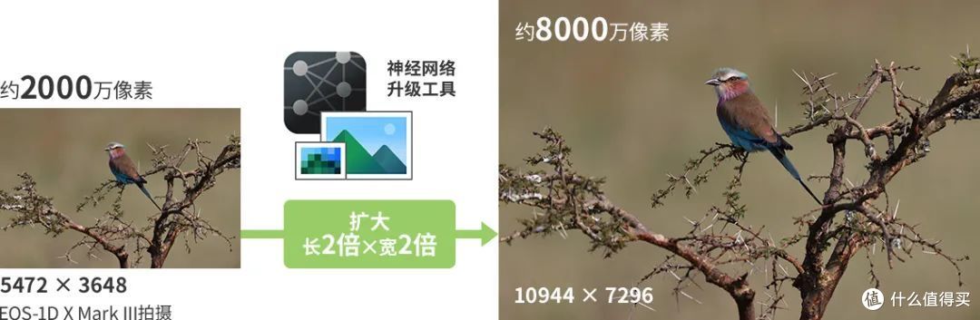 专业相机×人工智能 佳能图像处理新技术解析