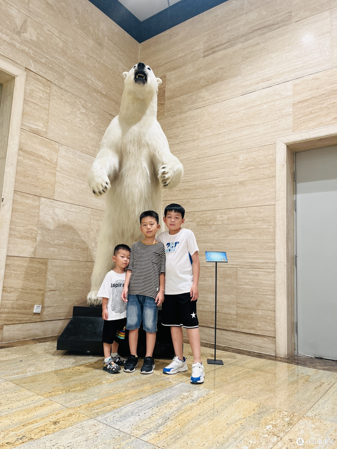 假期来省博看三星堆和恐龙展吧