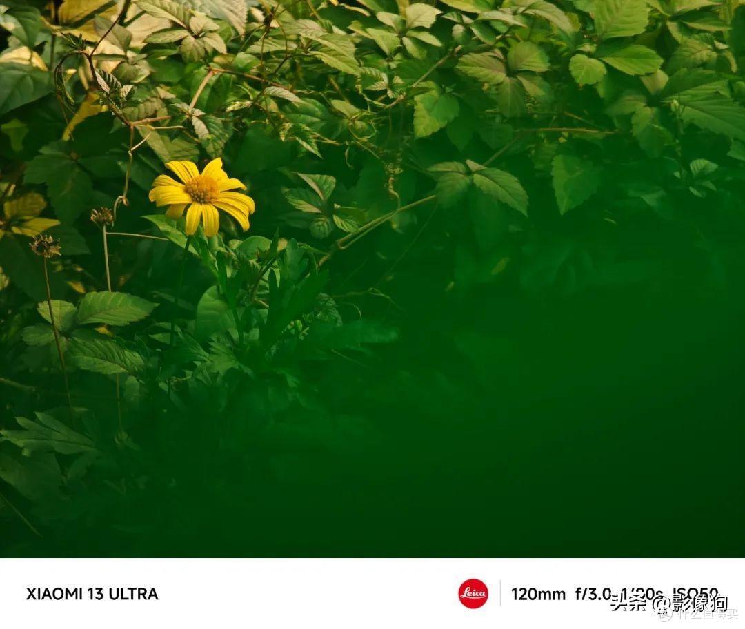 小米13Ultra手机影像测评:作为一台相机,ta表现如何?