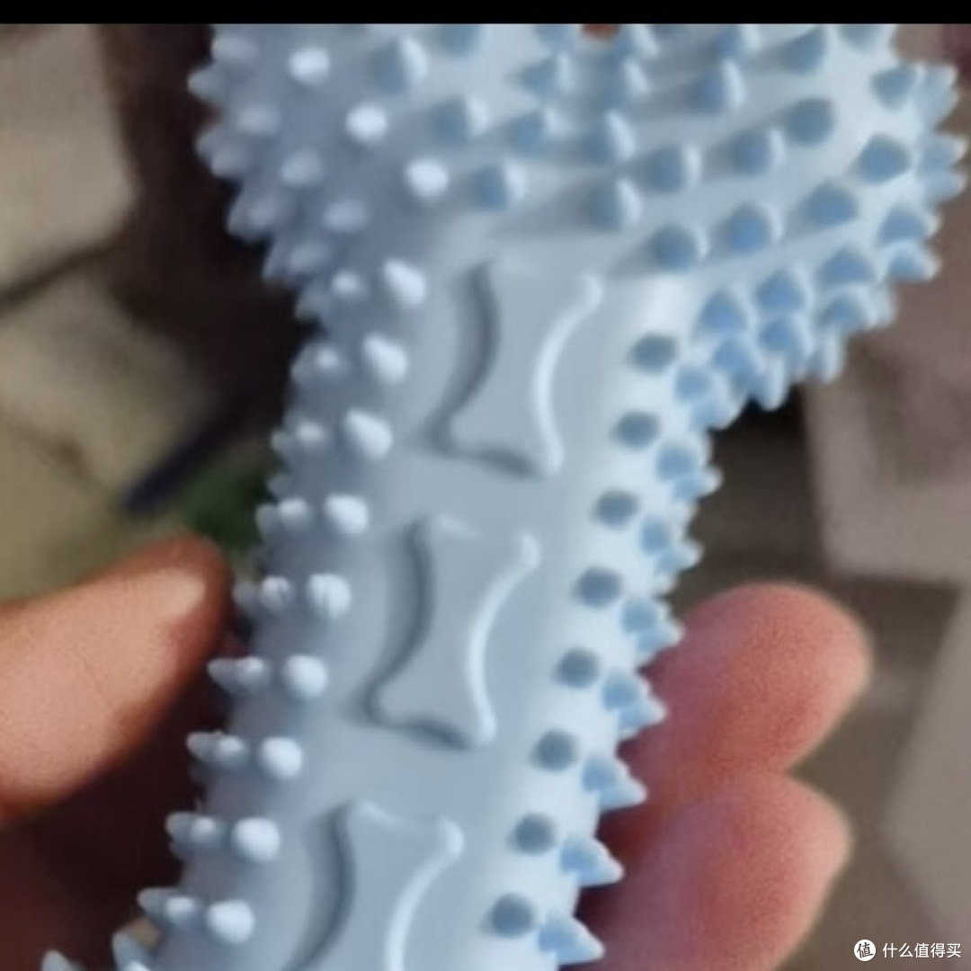 宠物破坏家具?名人养宠秘籍揭秘,让你的家具安然无恙!