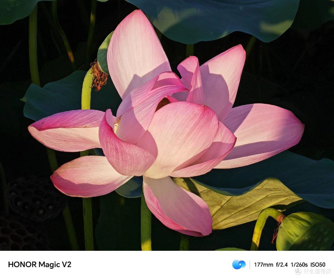 荣耀magic V2:折叠屏手机,让你的生活更有魔力!
