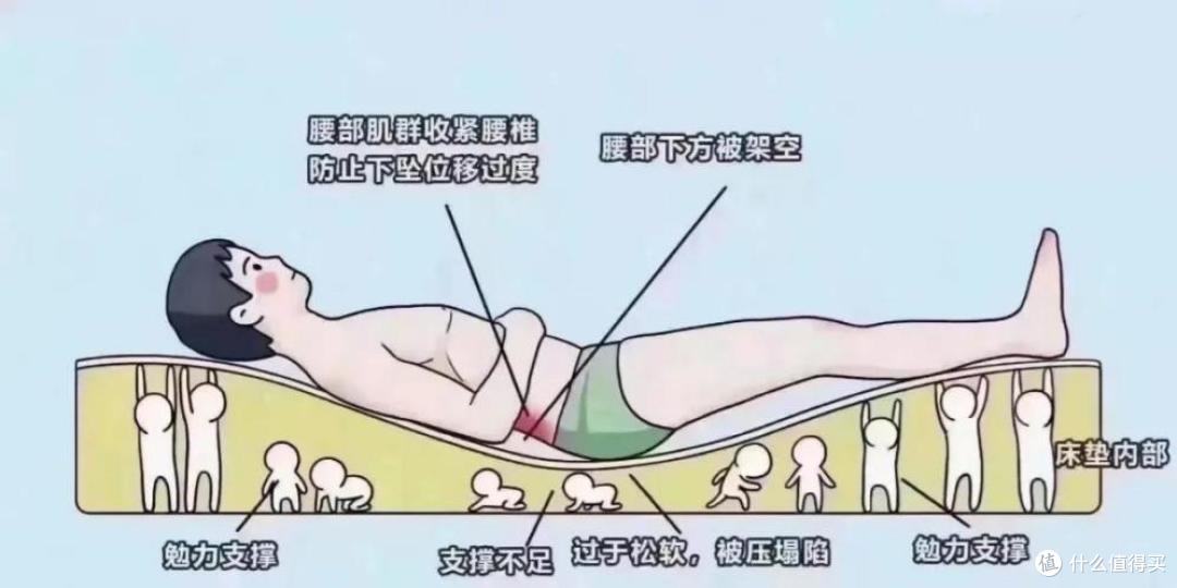 床垫太软伤腰