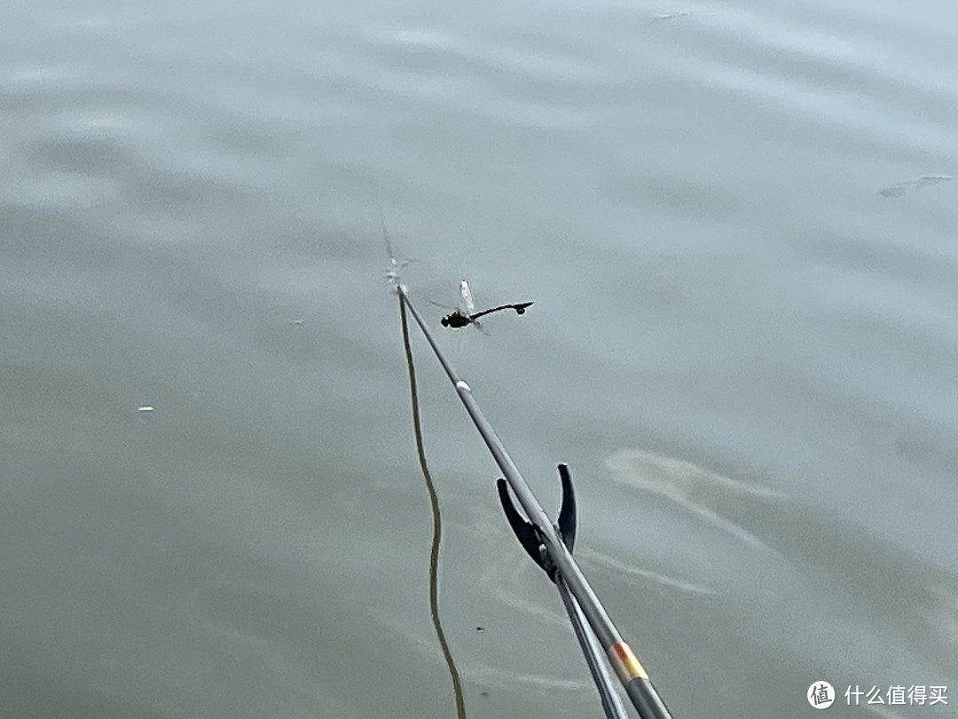 北溟有鱼，有鲫鱼，北冥鲫硬二4.5米鲫鱼竿