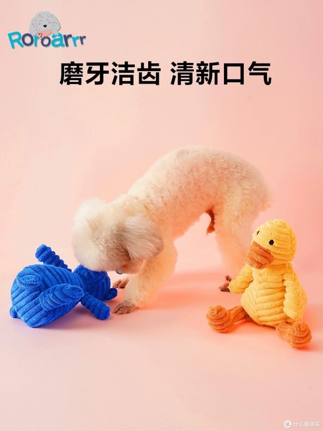 狗狗最喜欢的玩具：快乐的陪伴和释放